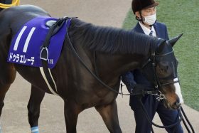 宝塚記念（G1）「落馬競走中止」から大外枠、ドゥラエレーデに波乱を期待できるワケ…「不安要素満載」でもデータは後押し？