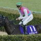 【宝塚記念】“絶縁状態”武豊と名門クラブが急転直下のタッグ結成!G1初勝利の若手は不可解な降板