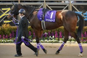 捨てたC.ルメールVS拾った武豊!?「スキルヴィング＞ファントムシーフ」は真実か。打倒ソールオリエンスを巡る日本ダービー「鞍上問題」