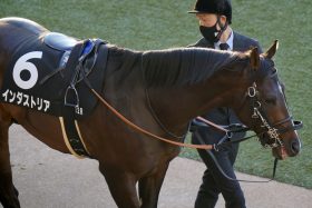 【京成杯オータムH（G3）予想】「中山専用機」インダストリアの買い時はココ！ トップナイフ、ノッキングポイントに心揺らぐも…やっぱり3歳世代は疑ってナンボ