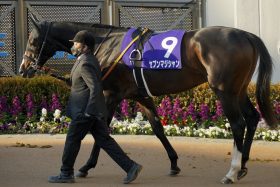 C.ルメール「2回邪魔されて」不完全燃焼…ソールオリエンス平地調教注意の裏で後味の悪さ、1番人気セブンマジシャンが襲われた立て続けの災難