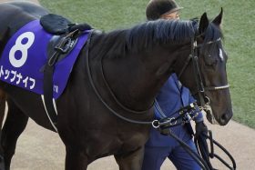 【弥生賞（G2）展望】「変幻自在」トップナイフ×横山典弘VS「成長途上」グランヴィノス×川田将雅！