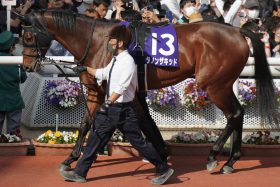 【クイーンエリザベス2世C（G1）展望】ラヴズオンリーユーを復活に導いたC.ホーがダノンザキッドと新コンビ！末脚強烈ジェラルディーナとプログノーシスにも勝機あり