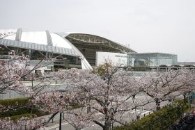 なんと「13日前」から桜花賞をドンピシャ的中！ しかも予告した5頭が掲示板独占、「完璧予想」を公開した予想家の正体