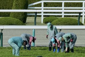 藤田菜七子、今村聖奈、永島まなみだけじゃない…競馬界に「新たなヒロイン」登場？「競馬歴4年」のニューフェイスがデビュー！