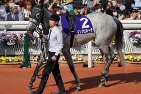 【小倉記念（G3）展望】武豊とのコンビで知られる“歴史的小倉巧者”以来の連覇へ、マリアエレーナ「5馬身差圧勝」昨年の再現あるか