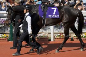 【中山金杯（G3）展望】京都記念「ドウデュースの2着」マテンロウレオが中心！「G3なら勝てる」C.ルメール高評価のエピファニーも要注目