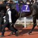 三冠牝馬リバティアイランド&菊花賞馬ドゥレッツァ! 新王者ドゥラメンテが最有力も、ディープの意思を継ぐ者が「噂の黄金世代」で2歳No.1獲得【2024年リーディングサイアーを占う】