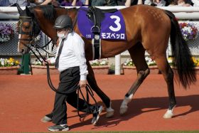 JRA「フライング購入」したファンから悲鳴!? コントレイル、グランアレグリアにも勝った「重馬場の鬼」に期待のハズが……