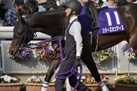 【有馬記念】C.ルメール×スターズオンアース「史上初」連対確保に絶賛の声！ 過去に好走例は皆無も…7番人気の低評価が「おいしすぎた」ワケ