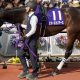 ダノックス「取捨選択」に大成功した川田将雅…遅れてきた大物候補も貫録勝ち、有馬記念前に「いいとこどり」の3連勝締め