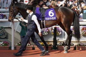 「59キロ」の日経新春杯勝利から1年…スルーセブンシーズも活躍で待望される「ドリームジャーニー後継」は7歳でも健在？