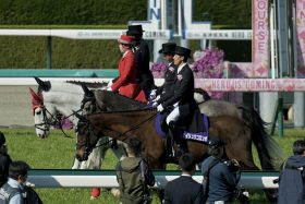 三浦皇成「何もできなかった」絶望の34.6秒…【皐月賞】「無傷の3連勝」シックスペンスに期待と不安？テーオーロイヤルに安藤勝己氏が「辛口」の持論展開!?【週末GJ人気記事ぶった斬り！】