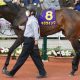 「単勝229.1倍」武豊にお手馬を奪われた若手が特大配当を演出! 今年早くも2回目の単勝2万馬券をマーク