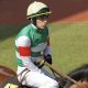 【日経賞(G2)予想】少頭数、道悪の可能性アリで厳選3頭の3連複1点で勝負!