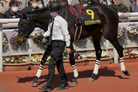 【東京新聞杯】マスクトディーヴァに「死角」なし？距離短縮に左回りも問題なし…レコード圧勝で示した「ソダシ超え」パフォーマンス