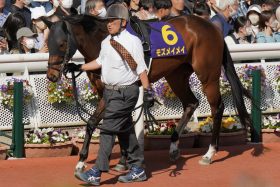 【北九州記念（G3）】屈辱の「6戦連続二ケタ着順」からの復活劇！「気持ちが途切れなければいいですが…」どん底から這い上がった元3歳No.1スプリンターに光明