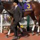 川田将雅に付きまとうオークスの呪縛。ハープスターの敗戦から9年、大本命リバティアイランドと挑む二冠