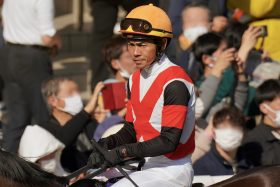 【根岸S】エンペラーワケア、サンライズフレイムに不安ありあり？ 昨年はレモンポップが本番を制するも…「最適距離」の穴馬に勝算十分！