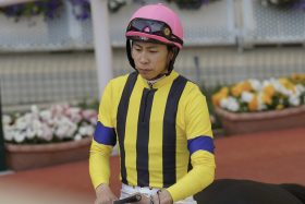 「ソールオリエンスの再来」評価も過信禁物？クラシック見据えたトライアル予定も…横山武史ルカランフィーストは本物なのか