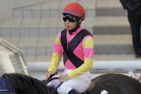 “首位陥落”川田将雅よりも心配な“ソダシ元主戦”の今…「華の20期」上半期の明と暗