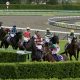 団野大成「ポテンシャルはある」と手応えあり!近親にダービー馬や7冠牝馬を持つ良血がデビュー勝ち…敗れた川田将雅は「僕の進路選択のミス」