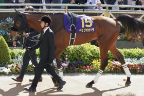 絶好調「ベラジオ軍団」が東西重賞ジャックに挑戦！ベラジオボンド、ベラジオオペラがスタンバイ…「快進撃」支える新進気鋭の調教師の存在