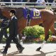 武豊「勝手にイメージを膨らませています」無傷の5連勝決めた最強候補に海外からも熱視線! レジェンドは世界最高峰への挑戦も視野