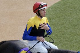 長距離はおまかせあレーン⁉ シルヴァーソニックに強力助っ人、天皇賞・春（G1）C.ルメールや武豊より期待したい2人に注目