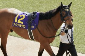 マイルで輝く川田将雅、安田隆行、ダノックスの最強トリオ！ ダノンタッチダウンと挑むNHKマイルC（G1）は巻き返し条件整った