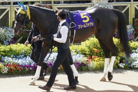 ソダシ「降板」の中堅騎手が挑む2度目の日本ダービー！ 姉に海外G1馬を持つ好素材で因縁の川田将雅、D.レーン斬りなるか