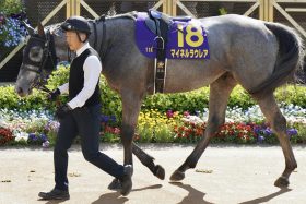 凱旋門賞にドバイワールドC…世界で活躍する「ステイゴールド一族」、ゴールドシップの後継種牡馬候補として期待したい菊花賞馬候補