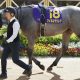 武豊「仮想」凱旋門賞の実現に可能性?ゼロとはいえないジャパンC参戦…ドリームレースの実現はC.デムーロがカギ