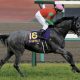 武豊「やりたい競馬はできた」に対照的な見立て? 安藤勝己氏「菊花賞向きやと思うね」の評価も…「めっちゃ嫌なコメント」と評した人物の見解