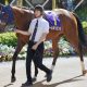 「ありがとう!日本ダービー!!」ギャンブルは「恋」と一緒、もう二度と馬柱を見たくない程のつらい目に遭っても、我々は立ち上がる!【徒然なる神のくず競馬トーク】