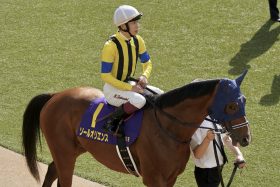 【日本ダービー】川田将雅が仄めかした攻略法…イメージ異なる中山と東京の「カラクリ」にヒント、ソールオリエンス凡走を予感させる残念シナリオ