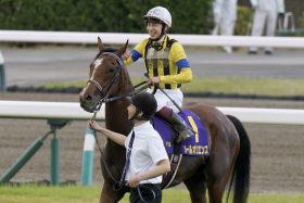 【菊花賞】横山武史×ソールオリエンスが勝つ!? J.モレイラ×タスティエーラを寄せ付けない圧倒的データと適性…激走候補は“菊花賞男”武豊のファントムシーフ