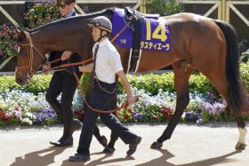 「走る馬だと今日立証された」福永祐一氏“自虐ネタ”に大爆笑!? タスティエーラ堀宣行調教師に「禁断の奥の手」を使わせた怪我の功名