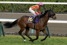 武豊と挑んだ皐月賞から1年超…“行方不明疑惑”囁かれた「ドゥラメンテ産駒」の帰厩にファン感涙？