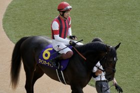 【菊花賞】「絶好枠ゲット」に陣営も色気あり？川田将雅、C.ルメールに匹敵の絶好調男が狙う一発…大波乱の使者に期待したい「お宝」穴馬