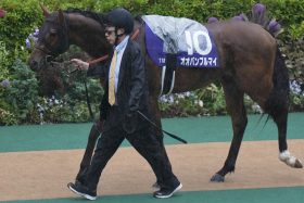 【チャンピオンズマイル（G1）展望】海外転戦“5億円ホース”が世界最強ゴールデンシックスティに挑戦！昨年のNHKマイルC覇者が道悪で急浮上？