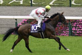 リバティアイランド、タスティエーラ、ソールオリエンス超え！ オオバンブルマイ「一撃5億円」で3歳賞金王に浮上