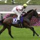 【エリザベス女王杯】東大式鉄則「“飛び石勝ち馬”の負けた後に乗れ!」アートハウス1着固定で一攫千金勝負!【東大式必勝馬券予想】
