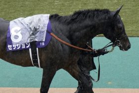 【ダービー卿CT】過去10年で1番人気はたった1勝…荒れるハンデ重賞は今年も継続？ 混迷極める1戦の「激走候補」2頭が激アツ！