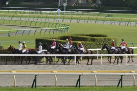 【レパードS（G3）展望】秋のダートG1戦線を視野に3歳素質馬が集結！　ジュンライトボルト半弟、川田将雅の“教え子”、国内戦復帰の良血馬らが覇を競う