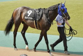 「注目のルーキー」吉村誠之助が狙う重賞初騎乗V！武幸四郎の快挙から27年…人気薄でも侮れないコンビ