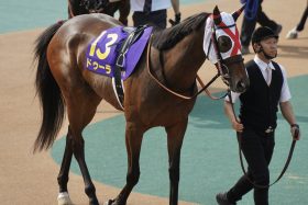 【クイーンS（G3）展望】打倒リバティアイランドへ「ドゥーラVSライトクオンタム」3歳対決！ ソダシ撃破の6歳牝馬も虎視眈々