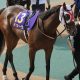 「アイビスSDを買うくらいなら、その資金を全額クイーンSにぶち込め!」現地札幌から届いた100万馬券級の勝負馬