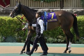 日本を代表する「名牝一族」の負けられない一戦！ シーザリオ、ハルーワスウィートと同じくG1馬3頭を輩出…新たな助っ人横山武史を迎えて勝負気配