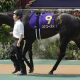 【府中牝馬S（G2）展望】心中複雑？お手馬「ディヴィーナVSライラック」が激突！主戦M.デムーロの決断は……
